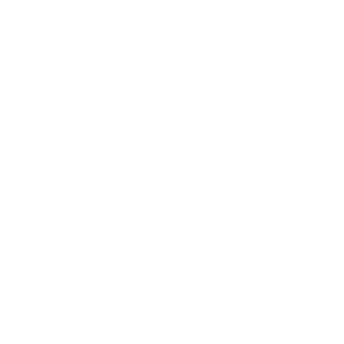 DYNEEM
